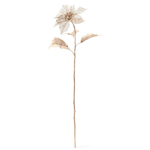 Tea Poinsettia Gold - weare-francfranc