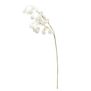 ART FLOWER ANDROMEDA White - weare-francfranc