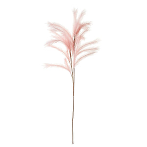 ART PLANTS PAMPAS Pink - weare-francfranc