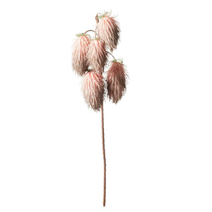 ART PLANTS RAMBUTAN Pink - weare-francfranc