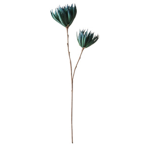 ART PLANTS YUCCA Blue - weare-francfranc