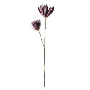 ART PLANTS YUCCA Purple - weare-francfranc